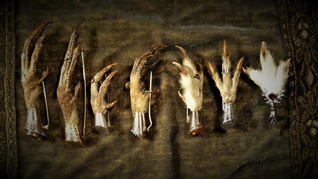 The collection of grouse claw pins in Kim's Curiosity Shop ranging from the oldest on the left to the newest on the right